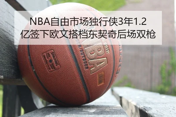 zi-you-shi-chang-du-xing-xia-nian-yi-qian-xia-ou-wen-da-dang-dong-qi-qi-hou-chang-shuang-qiang-3-541.jpg